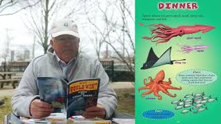 Who Would Win Books  Author Jerry Pallotta Reads quotWhale vs Giant Squidquot [upl. by Drarreg]