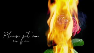 Estelle  Set Me On Fire Official Lyric Video [upl. by Nylecaj]