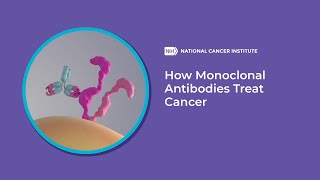 How Monoclonal Antibodies Treat Cancer [upl. by Melmon]