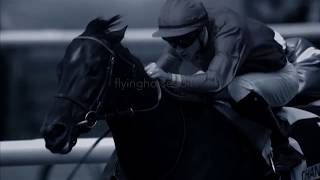 Whatever It Takes Horse Racing Music Video [upl. by Raines]