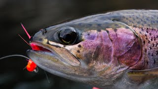 How To Fish For TROUT Using MICRO JIGS [upl. by Wojak]