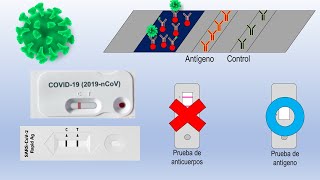 Pruebas de antígenos para SARSCoV2  Cómo funcionan y cómo interpretarlas [upl. by Lleval173]