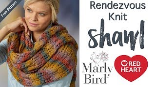 How to Make Easy Lace Rendezvous Knit Shawl [upl. by Elijah671]