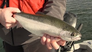 Basic Techniques for Trout Fishing in Washington [upl. by Lussi]