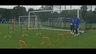 Grays Athletic FC  Goalkeeper Training  Bisham Abbey [upl. by Goeselt]