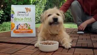 Purina Beneful Grain Free TV Commercial Super Foods [upl. by Einahpehs496]