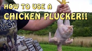 How To Pluck A Chicken In 20 Seconds Chicken Plucker [upl. by Jillayne108]