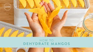 How to Dehydrate Mango  Luvele Breeze Dehydrator [upl. by Aihpled]