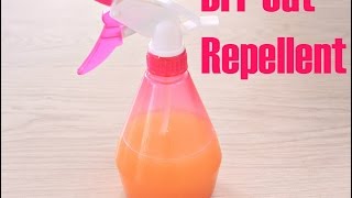 DIY CAT REPELLENT [upl. by Pardew]