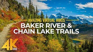 4K Virtual Hike Near River through the Forest  Baker River Trail amp Chain Lake Trail [upl. by Karry]