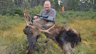 Epic Newfoundland Moose Hunting Episode 12 [upl. by Nilrem]