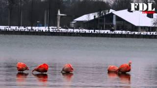 5 Flamingos am Chiemsee  05022015 [upl. by Shewmaker]