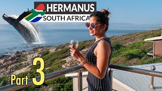 Encountering Giants Whale Watching in Hermanus South Africa  A Spectacular Coastal Adventure [upl. by Nirrat]