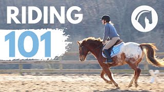 HOW TO RIDE A HORSE EASY BEGINNERS GUIDE [upl. by Schoenberg]