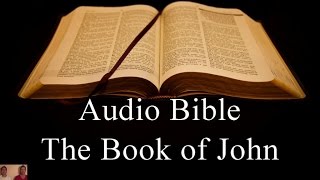 The Book of John  NIV Audio Holy Bible  High Quality and Best Speed  Book 43  The Two Preachers [upl. by Ecertal]