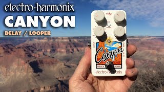 ElectroHarmonix Canyon Delay  Looper Pedal Demo by Bill Ruppert [upl. by Litnahc172]