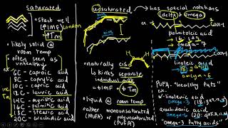 BIOCHEM 9  Fatty Acids [upl. by Thackeray]