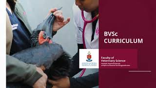 Bachelor of Veterinary Science BVSc UPvideolibrary [upl. by Bernardi]