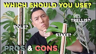 How to use a stake moss pole amp trellis for your Monstera  indoor plants  Pros amp Cons [upl. by Abebi]