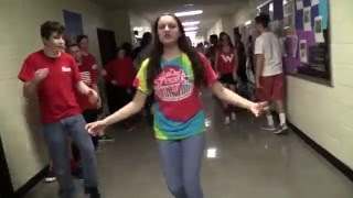 WHS Lip Dub 2016 [upl. by Aufmann]