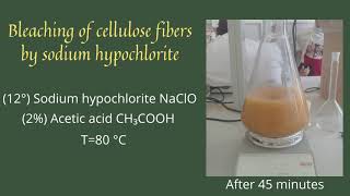 Bleaching of cellulose fibers by sodium hypochlorite [upl. by Nnylkcaj18]