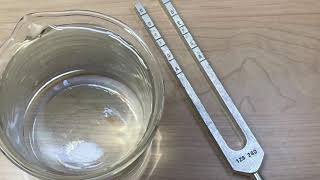 Tuning fork in water demonstration [upl. by Leitao]