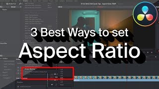 ASPECT RATIO in DaVinci Resolve [upl. by Attenyl]