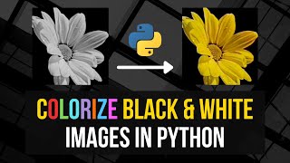 Colorize Black amp White Images in Python [upl. by Ehrenberg62]