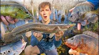 24 HOUR MULTISPECIES FISHING CHALLENGE FLORIDA [upl. by Natassia48]