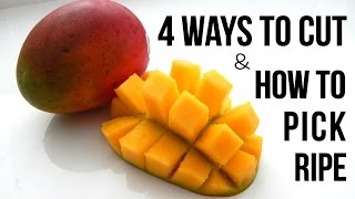 4 BEST WAYS TO CUT MANGO FAST [upl. by Atinnek869]