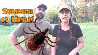 Protect Yo SelfFrom Ticks and Chiggers [upl. by Nimesh]