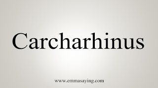 How To Say Carcharhinus [upl. by Storer322]