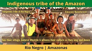 Brazil Travel  Indigenous tribe of the Amazon [upl. by Natsuj]