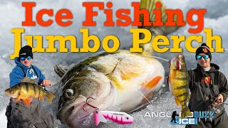 Ice Fishing Jumbo Perch [upl. by Lashonde]