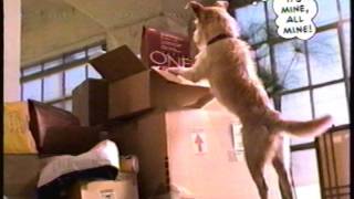 Purina One Dog Food Commercial 1999 [upl. by Nageet]