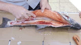 How to fillet a trout [upl. by Monro5]