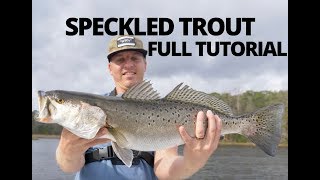 HOW TO CATCH SPECKLED TROUT Sea Trout  TUTORIAL and EVERYTHING TO KNOW [upl. by Will85]