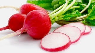 5 Incredible Health Benefits Of Radishes [upl. by Koren]