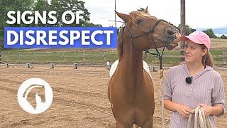 SIGNS A HORSE DOESN’T RESPECT YOU  Horse Behavior Guide [upl. by Nnyleahs]