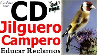 Canto del jilguero CD campero para educar noveles reclamos [upl. by Lemcke]