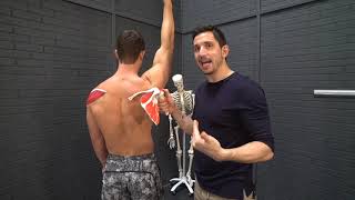 Fix Your Shoulder Impingement Forever MoveU [upl. by Karlene86]