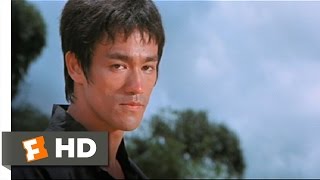 Kung Fu Movie Bruce Lee Series [upl. by Noet]