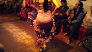 Flamenco Dance by Spanish Gypsies Part 1 [upl. by Caryn]