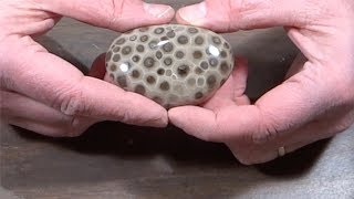 How to Hand Polish a Petoskey Stone [upl. by Neyu]