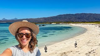 AMAZING ISLAND in Loreto Baja California Sur [upl. by Linehan742]