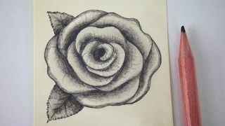 How to draw a rose  free art lesson [upl. by Sidonnie]