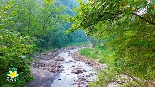 8 Hours Relaxing Nature Sounds  River Noise and Birdsong [upl. by Nalad]