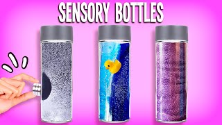 DIY Play Sensory Water Bottles  Fun KidFriendly Science Experiments [upl. by Aciretahs]