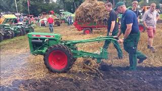 Pflügen mit Holder E14 Nordhorn 2017 [upl. by Ledniahs]