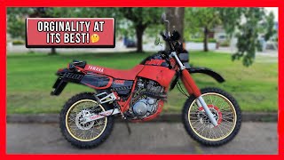 Yamaha XT600  1997 Yamaha xt600 review  short ride Yamaha xt600e  Yamaha xt 600 to speed Review [upl. by Mitch621]